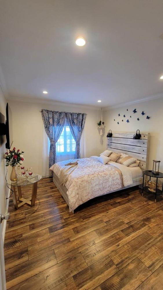 One-Bedroom Apartment interior